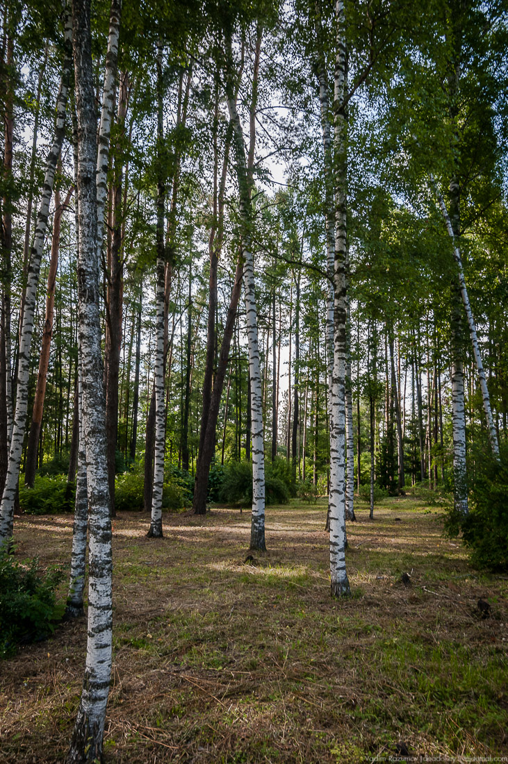 усадьба Барсуково