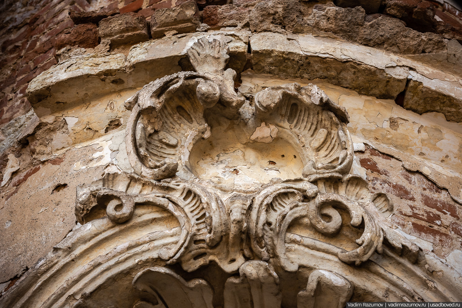 Пролески в усадьбе Репец, Задонский район, Липецкая область