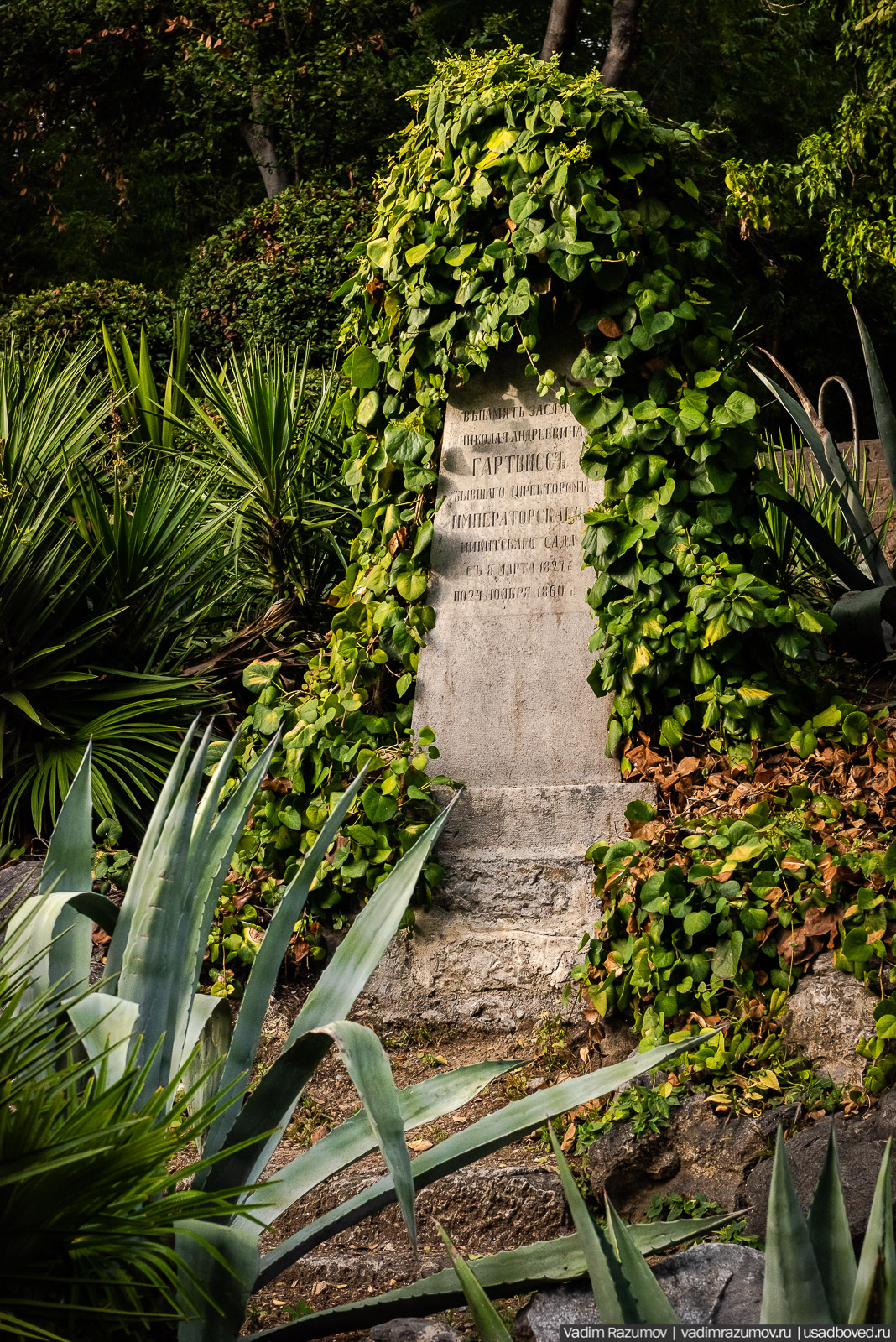 Никитский ботанический сад