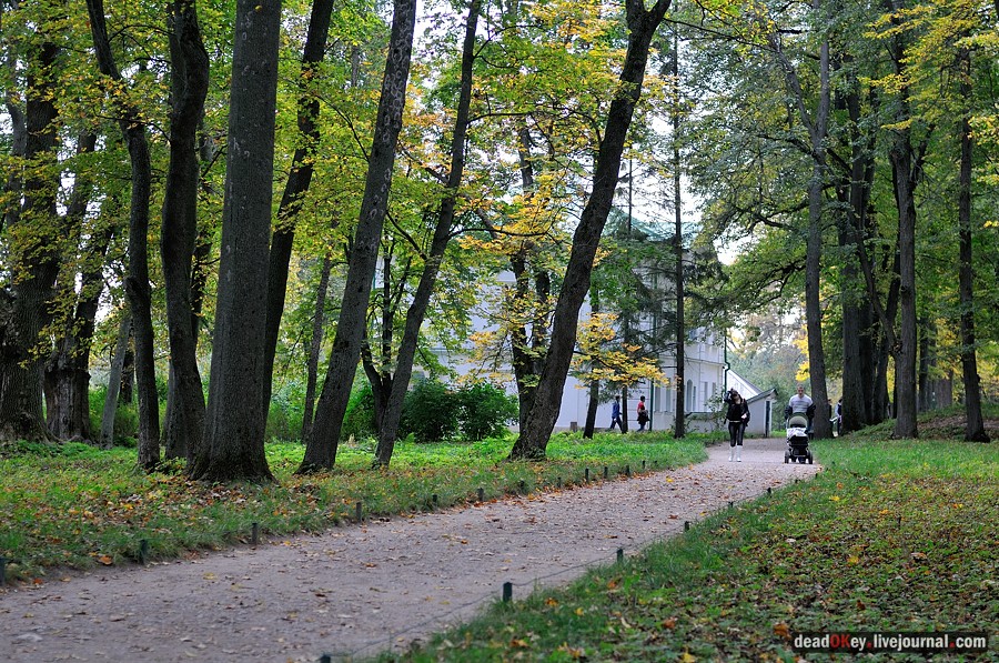 усадьба Ясная Поляна