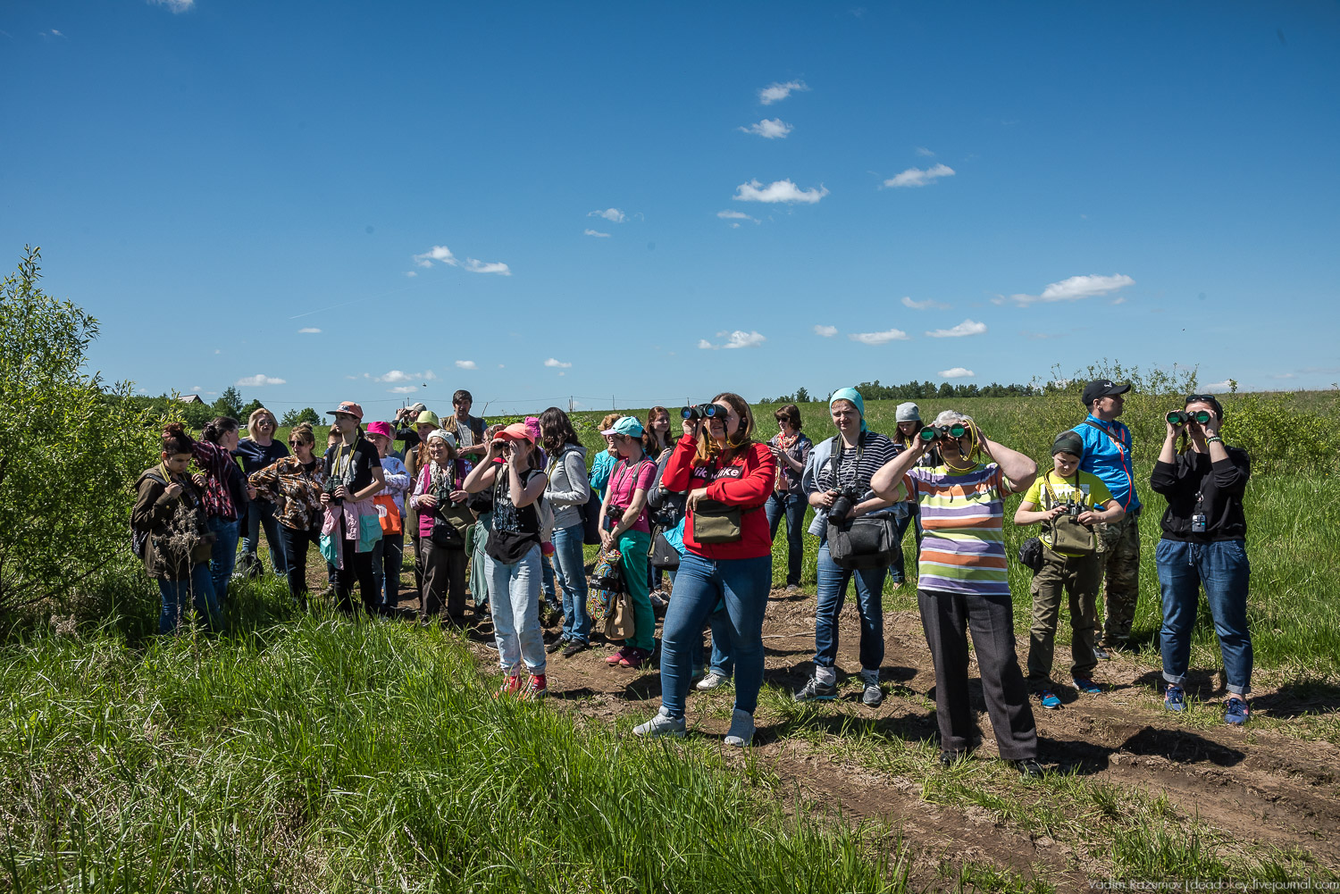 Экоэлектричка. Совиный фестиваль
