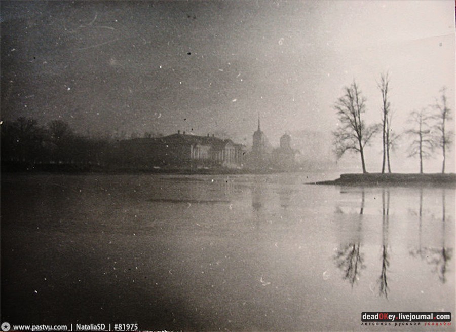 усадьба Кусково и Плющево