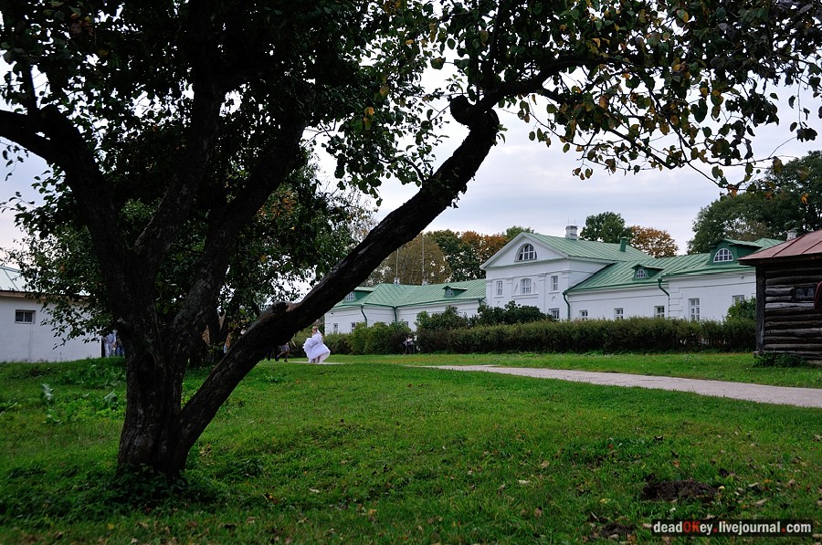 усадьба Ясная Поляна