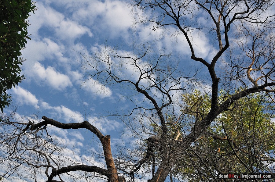 ул. Поварская д.17-19 усадьба капитана Федора Ржевского