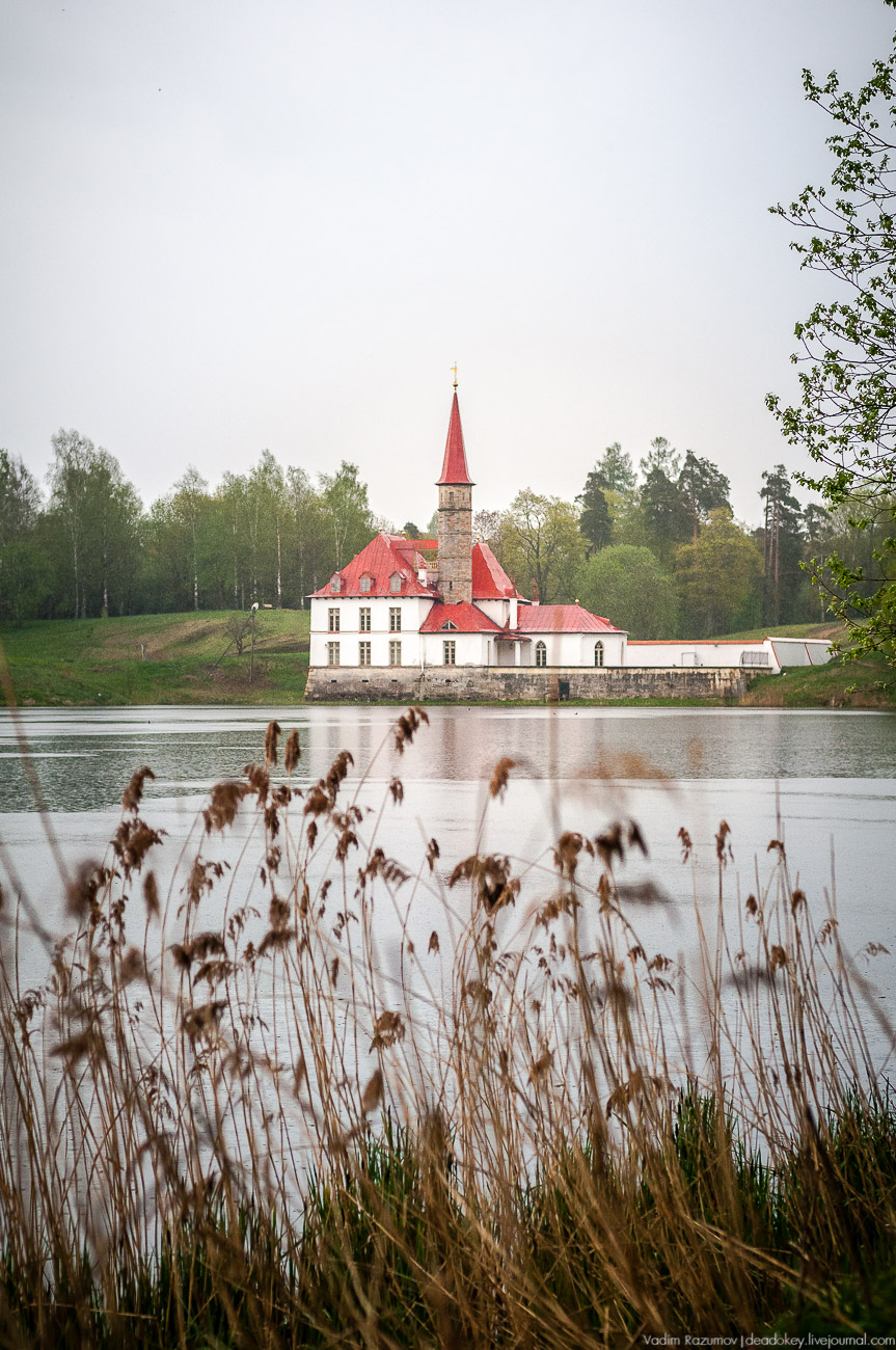 Летопись русской усадьбы. Усадьбы 2017 года