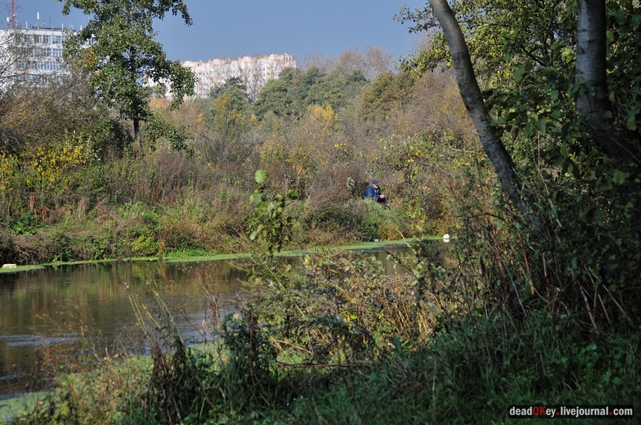 усадьба Красково