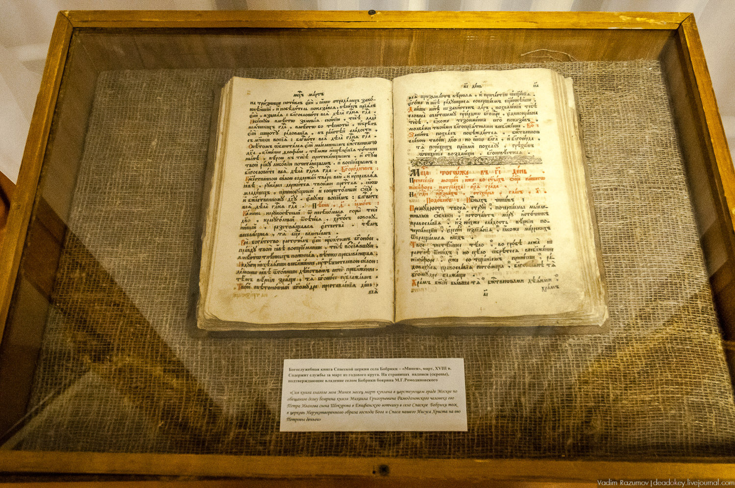 усадьба Бобрики Бобринских, Донской, Тульская область, музей