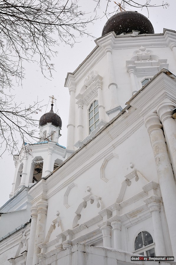 усадьба Кривцы