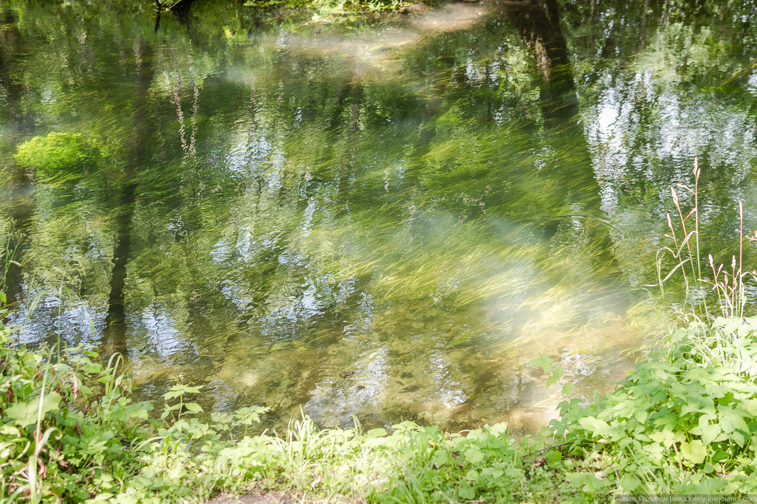 Гремячка, Рязанка, Урусово - тропа Семенова-Тян-Шанского