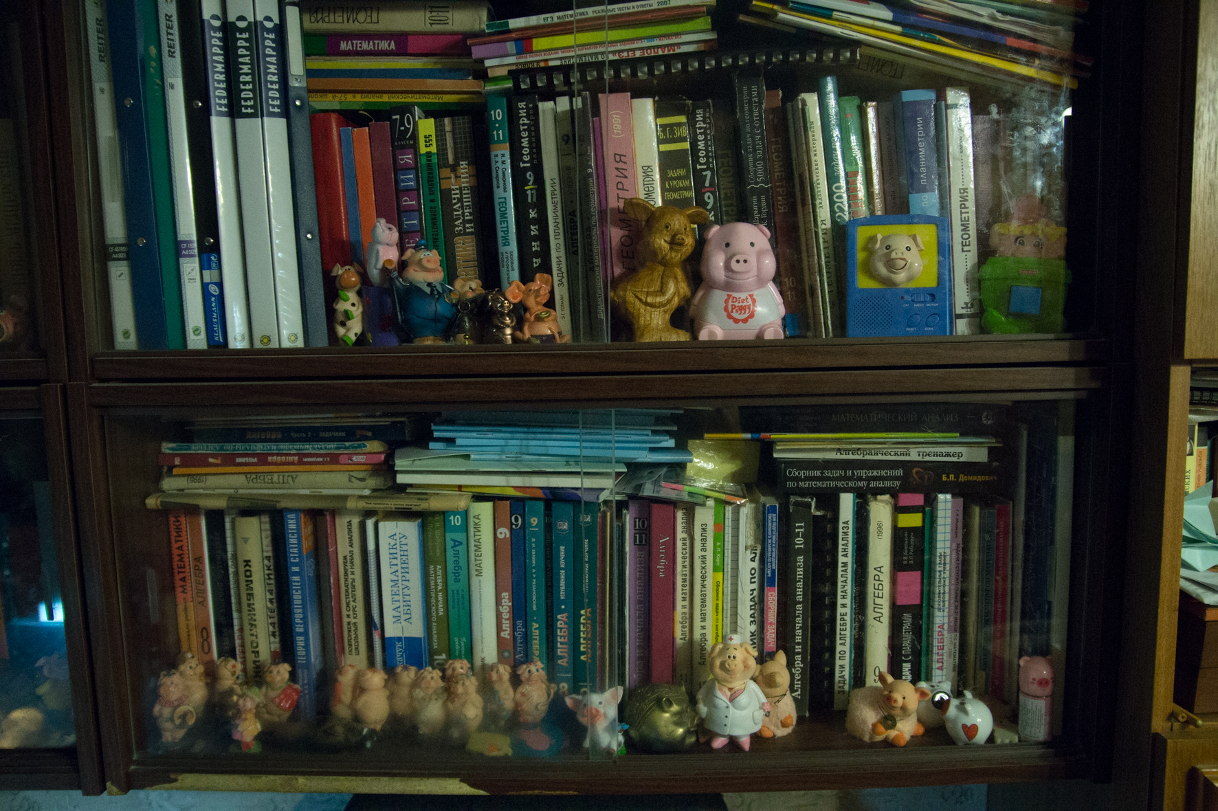 Свиньи, музей свиней