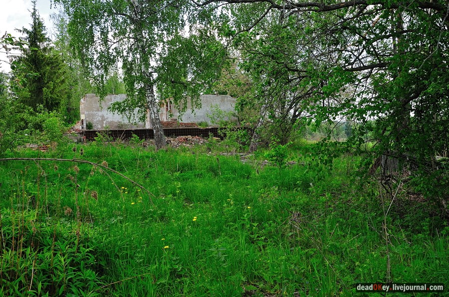 усадьба Спасское