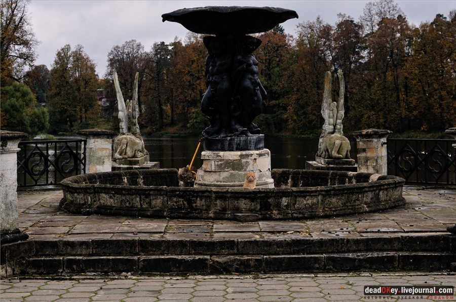 усадьба Марфино