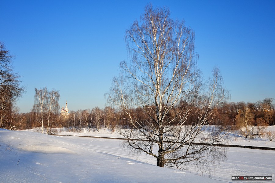 усадьба Старбеево