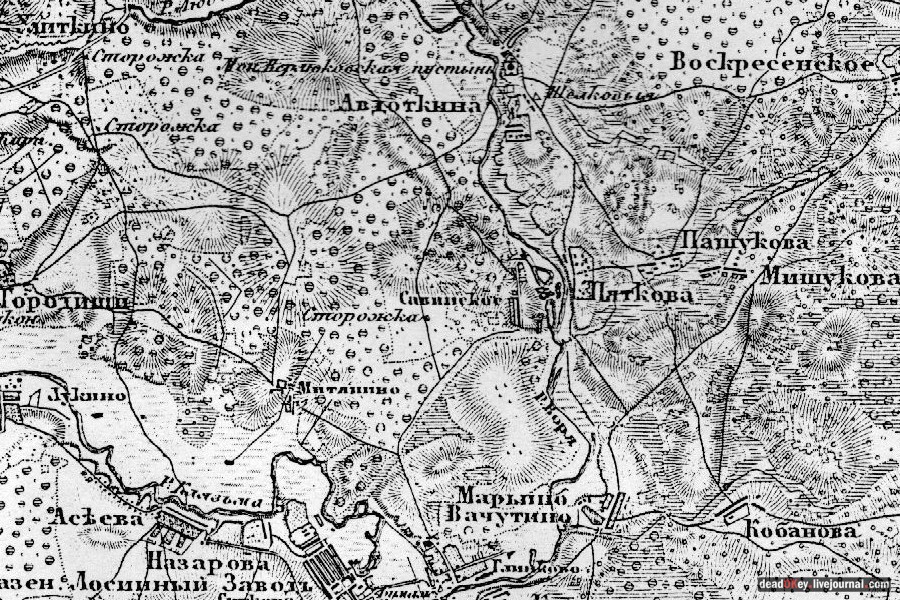 усадьба Савинское