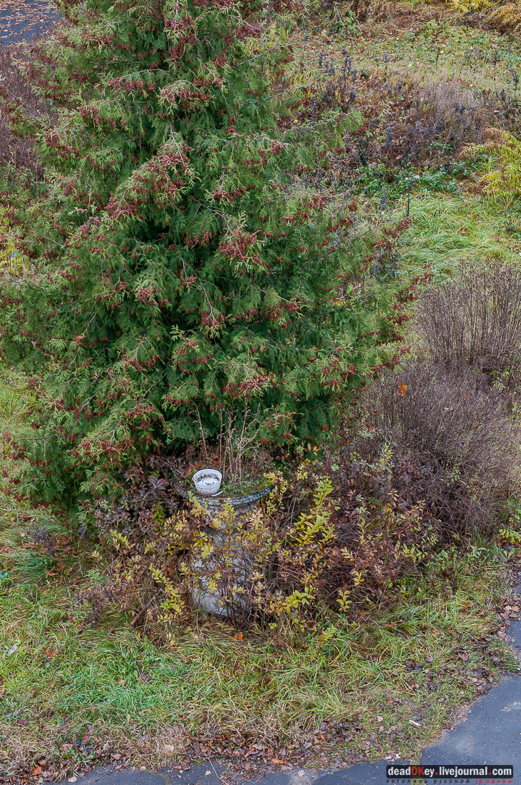 Усадьба Любвино