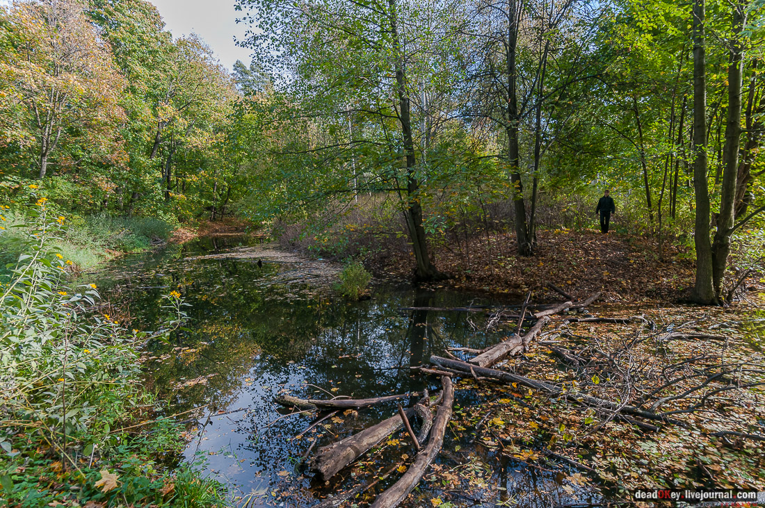 усадьба Быково. Субботник в усадьбе 7 ноября 2015 года