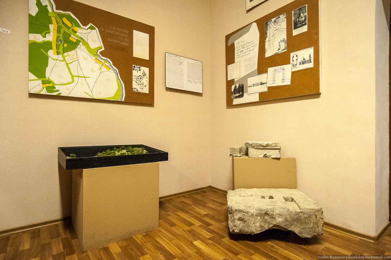 усадьба Бобрики Бобринских, Донской, Тульская область, музей