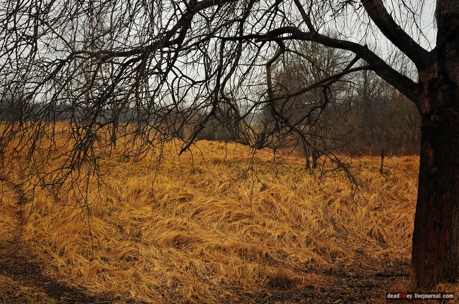 усадьба Савинское