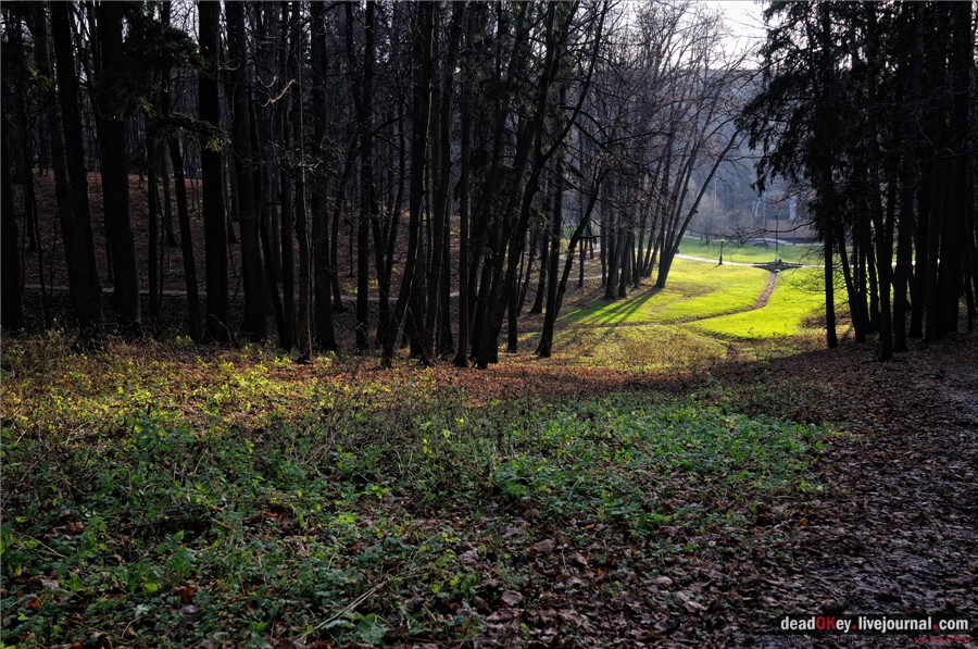 усадьба Царицыно