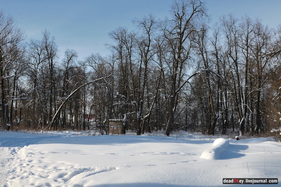 усадьба Полтево