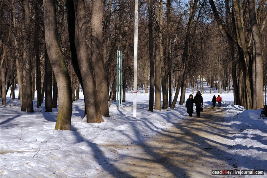 усадьба Кривякино