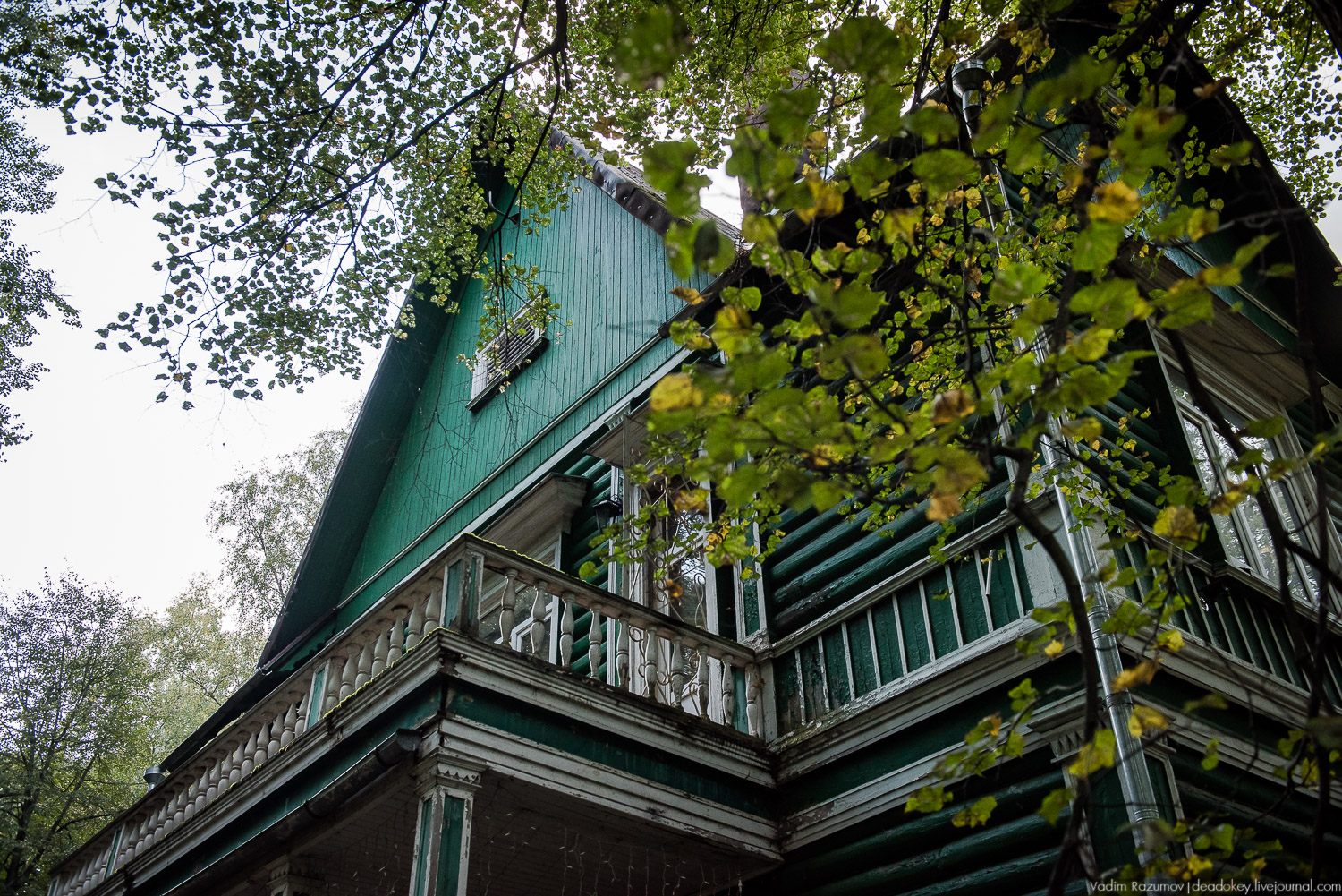 Алексеевская роща, путевой дворец Алексея Михайловича, Лосиный остров, музей охоты