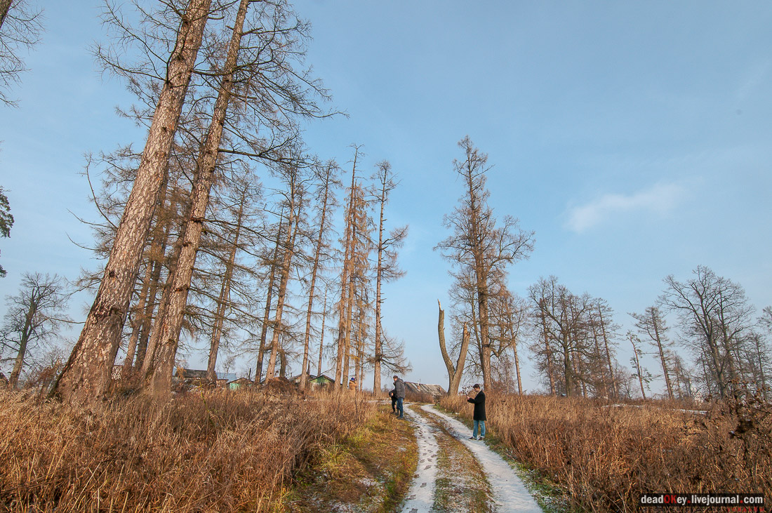 Усадьба Глебово-Брусилово
