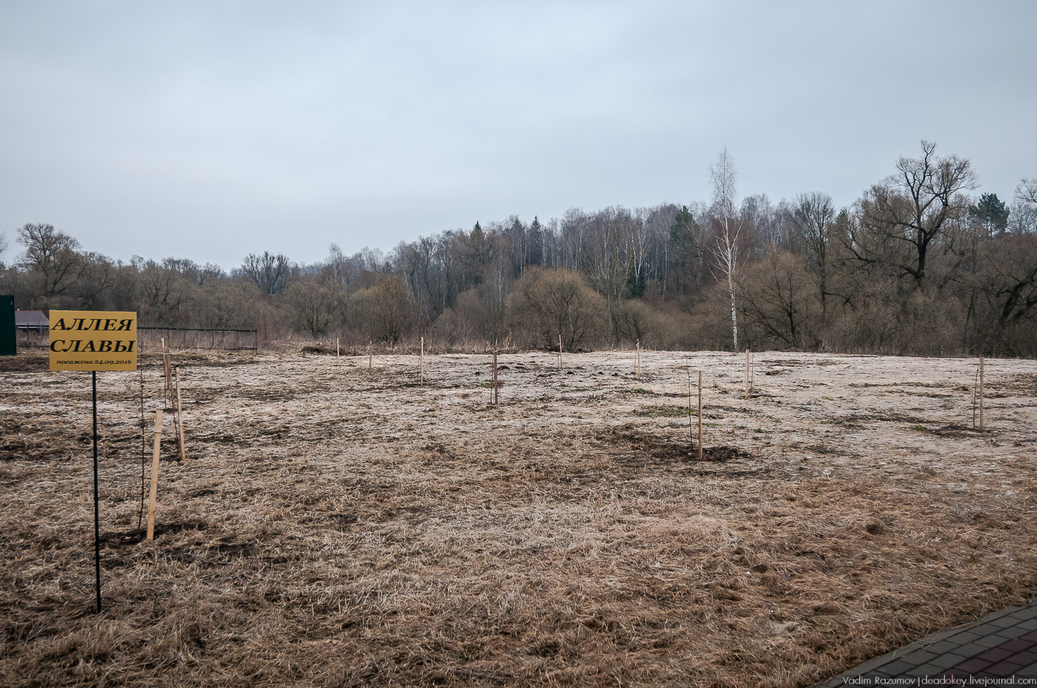 Усадьба Сенницы Усадьба Сенницы