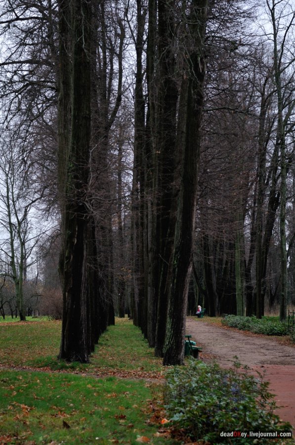 усадьба Горки Ленинские