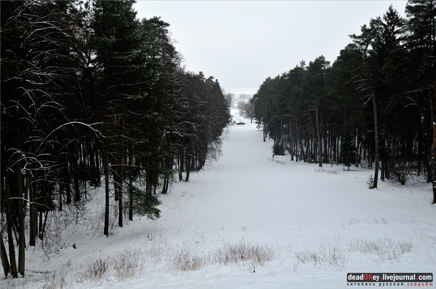 усадьба Введенское