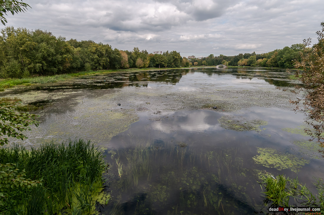 усадьба Михалково