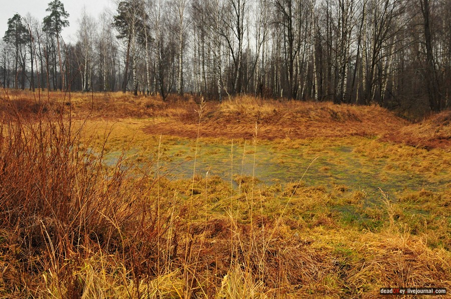 усадьба Савинское