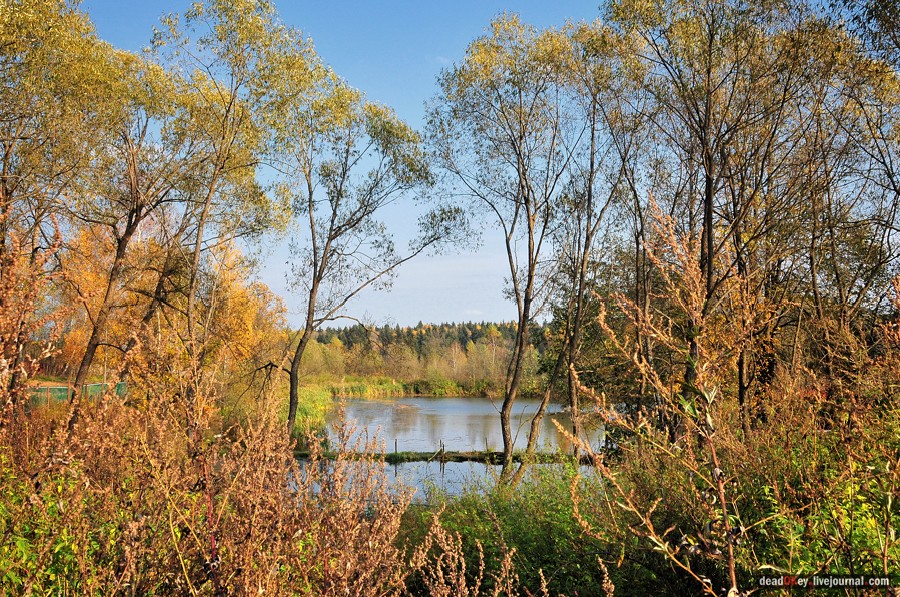 усадьба Путятино