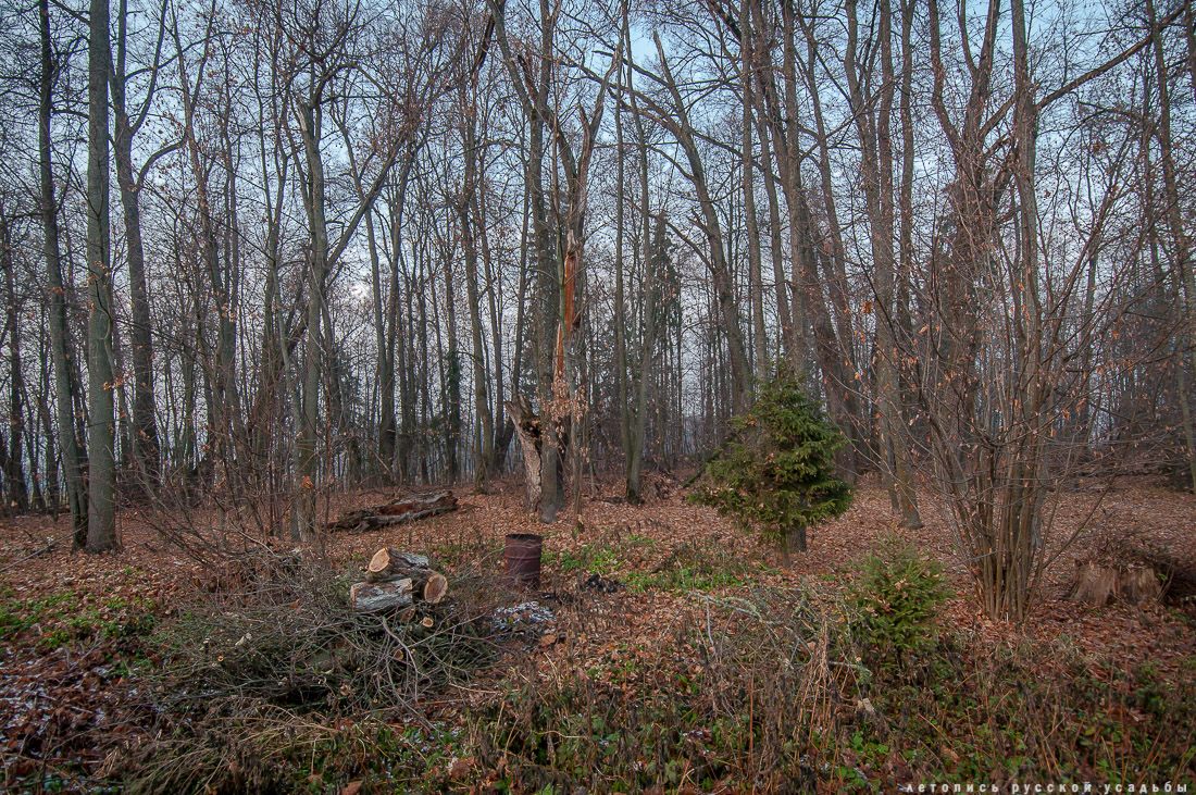 усадьба Синево, Истринский район