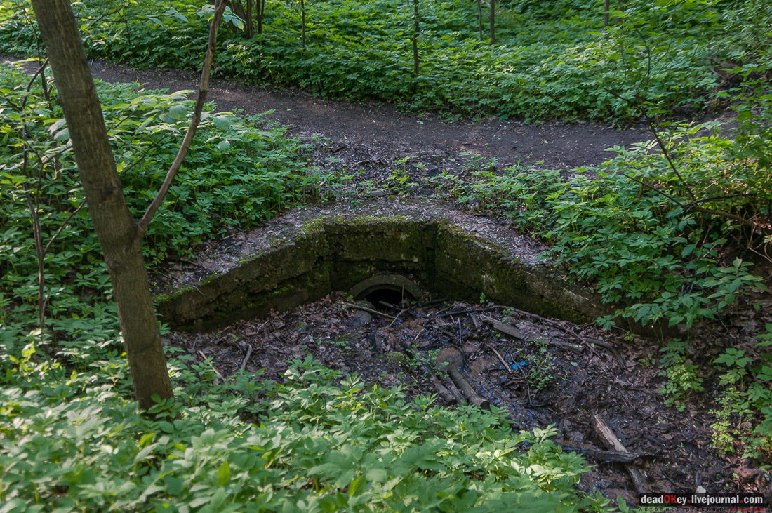 усадьба Кунцево