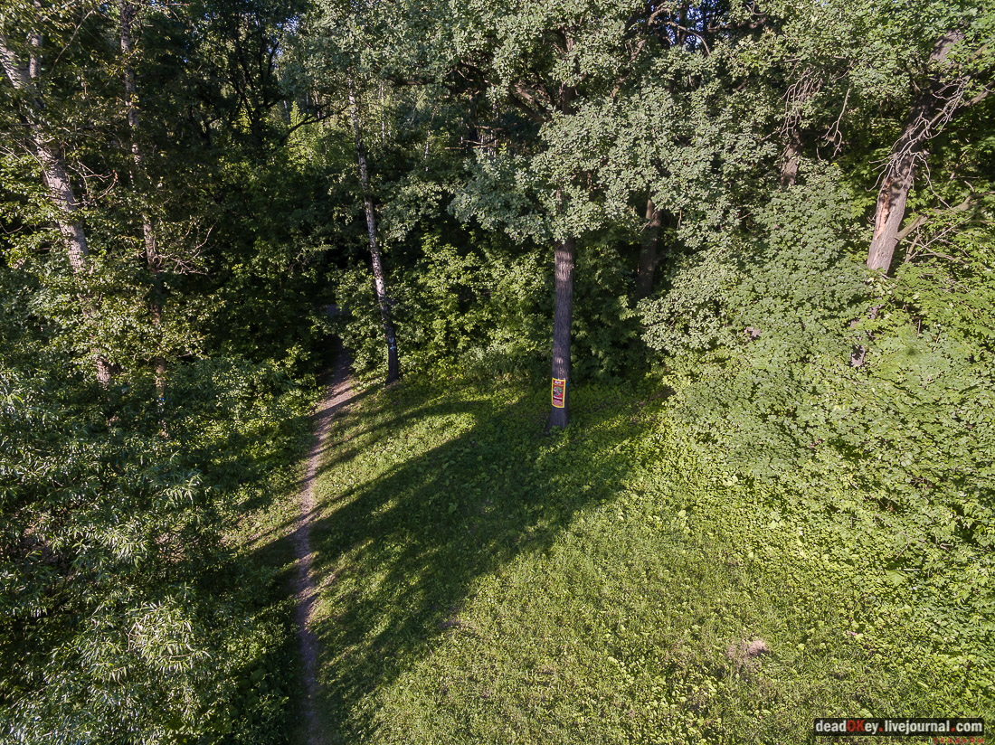 усадьба Кусково с квадрокоптера