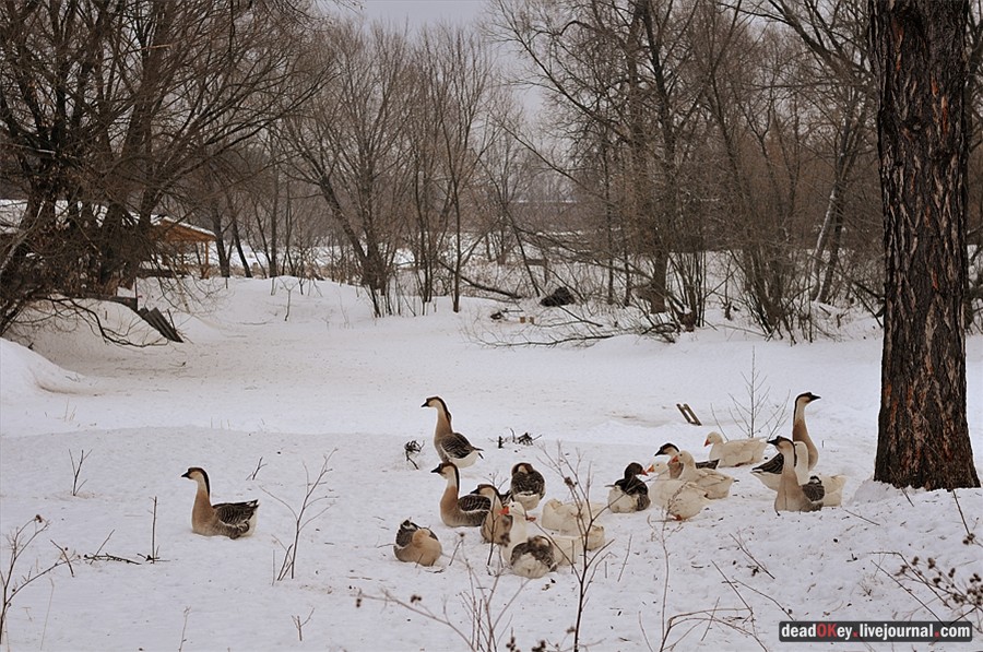 усадьба Успенское