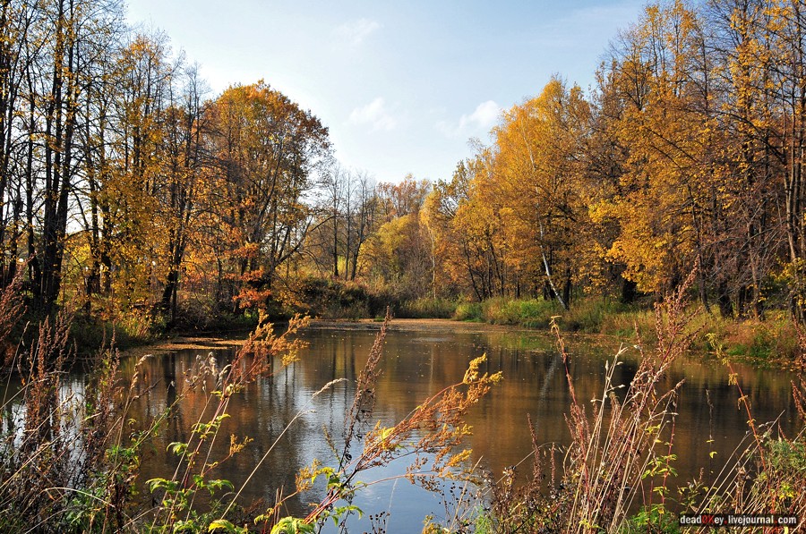 усадьба Путятино