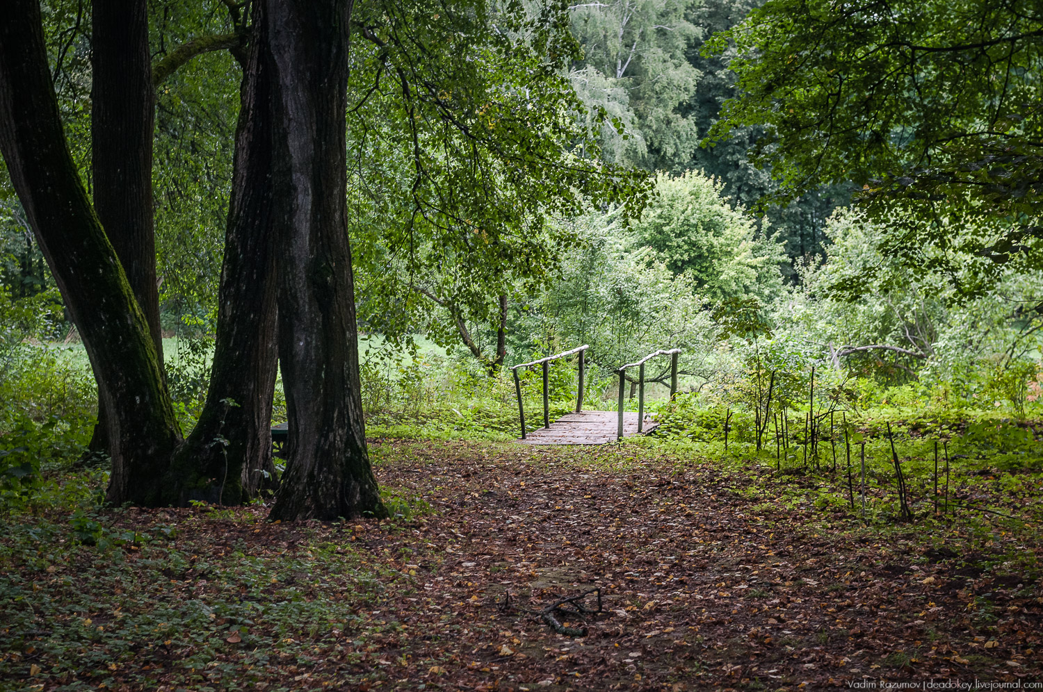 усадьба Даровое, Зарайский район, Ф.М. Достоевский