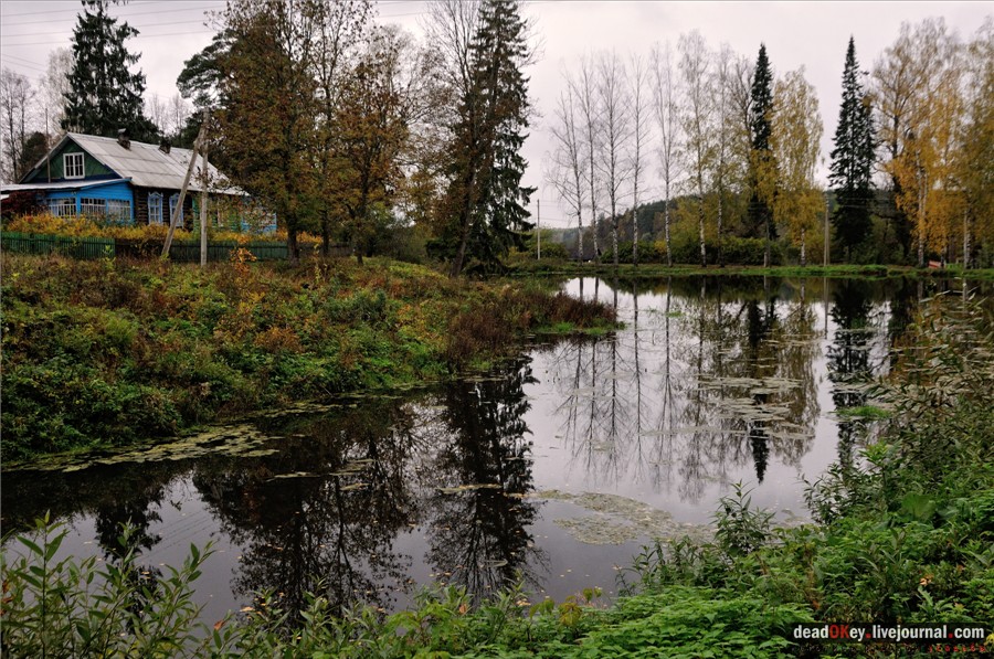 усадьба Лучки