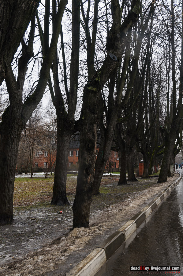 усадьба Люблино