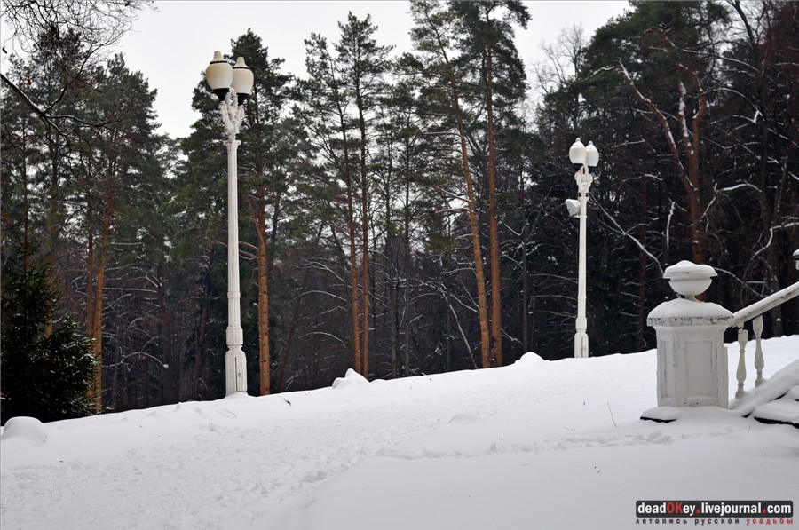усадьба Введенское