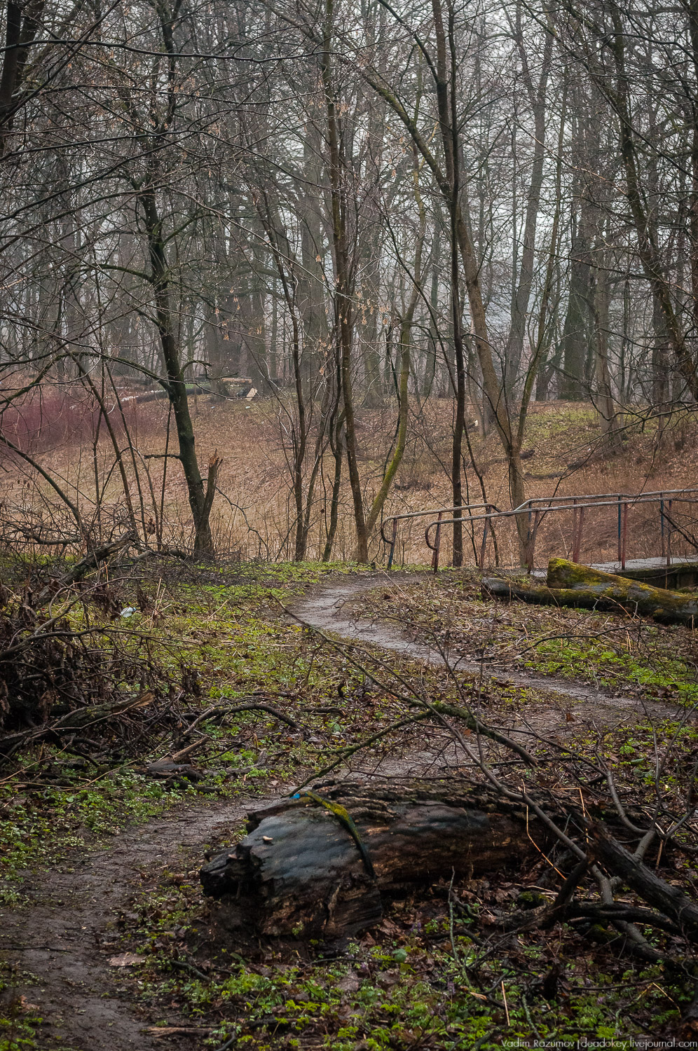усадьба Петрово (Дурнево, Петрово-Дальнее), Красногорский район, Московская область