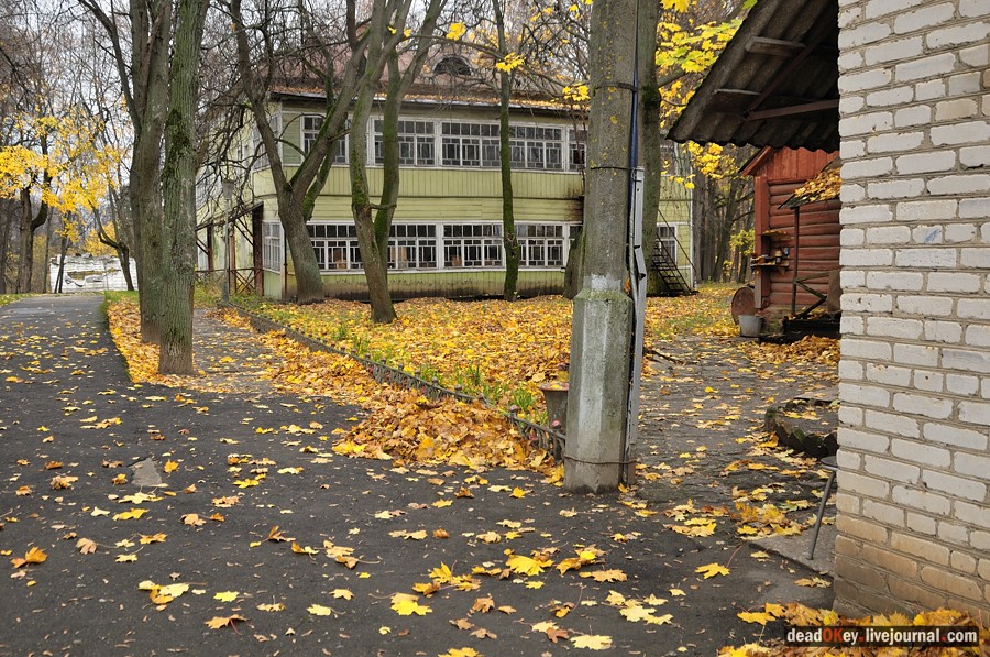 усадьба Жуково