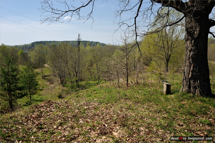 усадьба Андреевское-Туркино (Перематкино)
