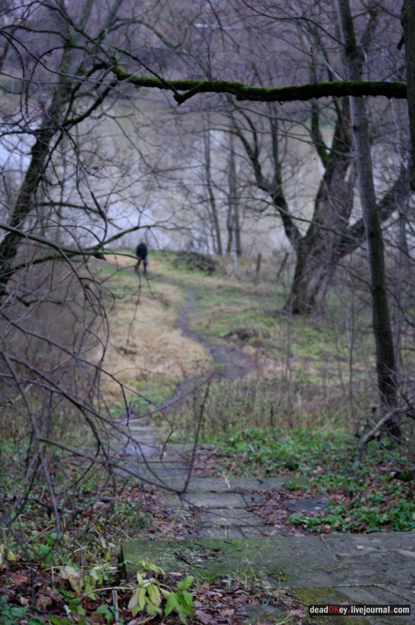 усадьба Горки Ленинские