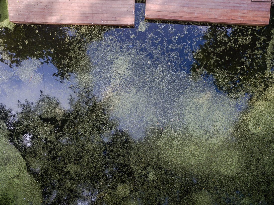 Усадьба Мелихово