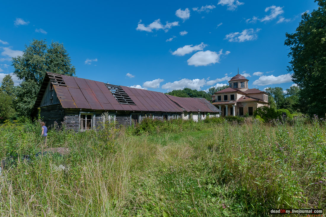 усадьба Васильевское Повалишиных