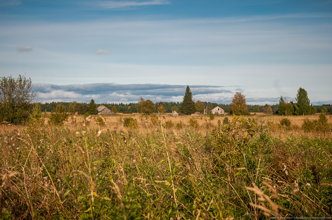 дер. Кучепалда, Архангельская обл.