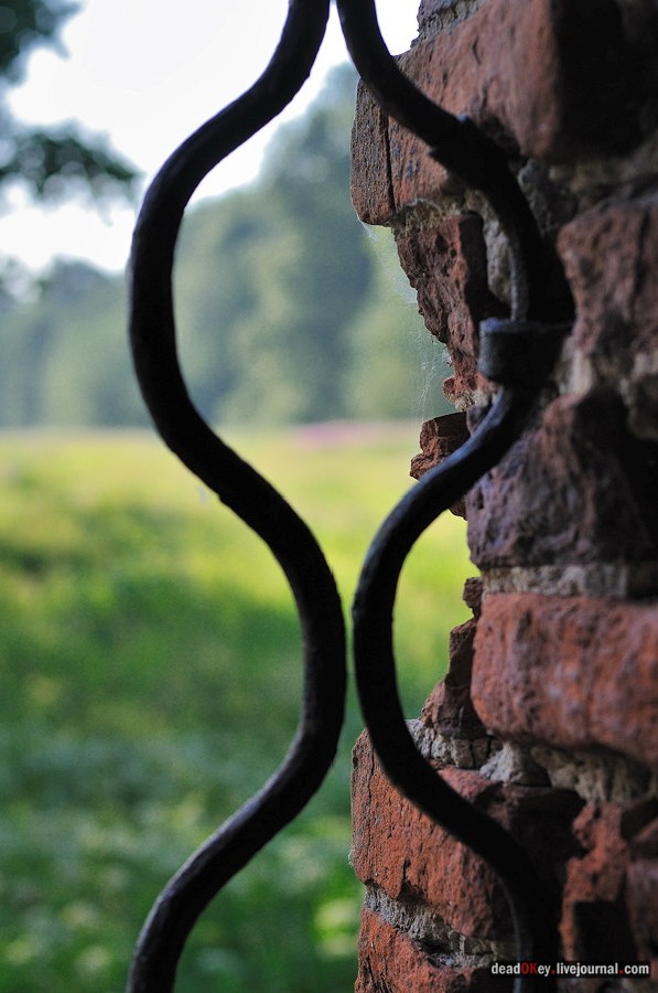 усадьба Клины